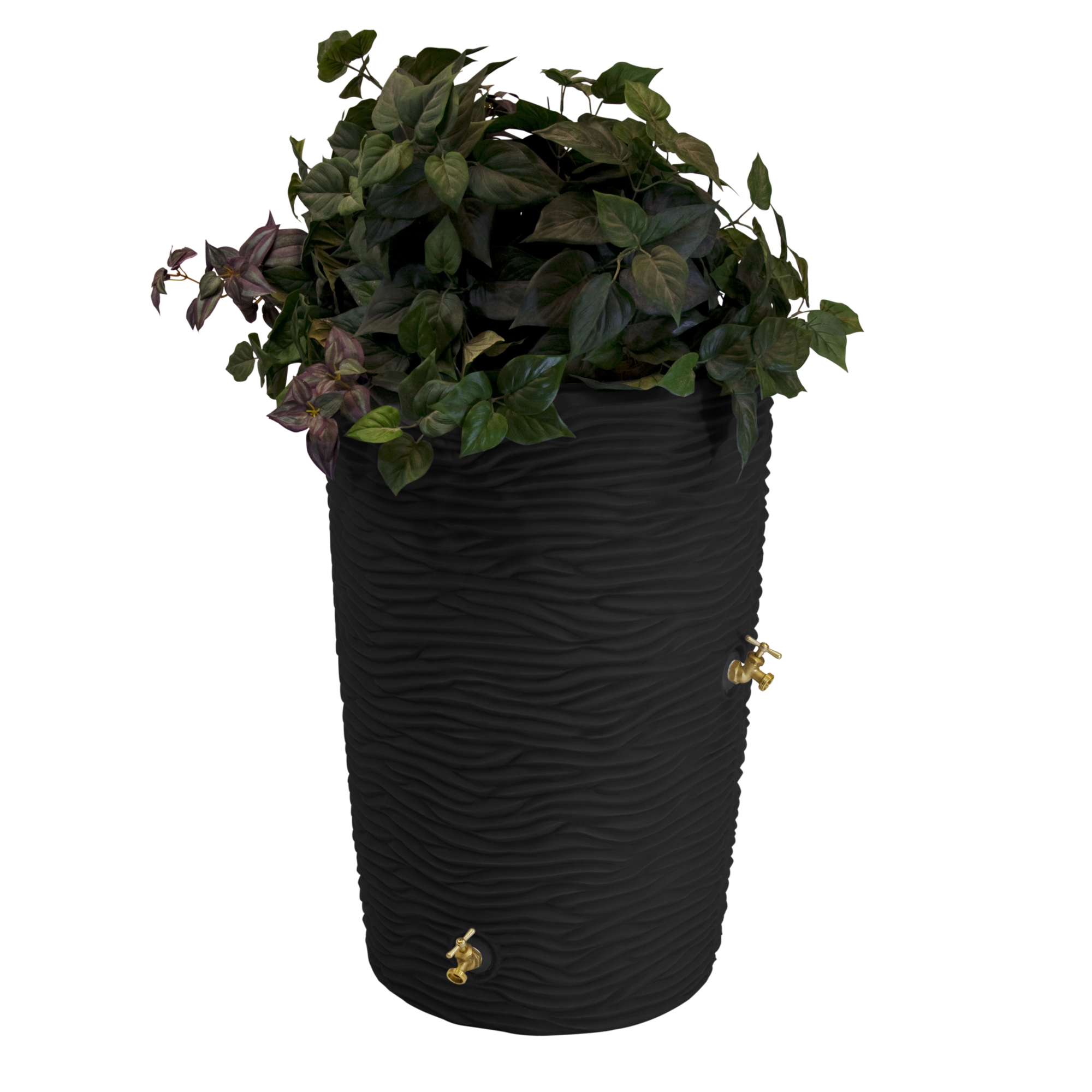 Good Ideas Impressions Palm Rain Saver Barrel — 50 Gallon, Black, Integrated Overflow Channel, Model# IMP-L50-BLK